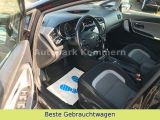 Kia Ceed bei Sportwagen.expert - Abbildung (11 / 15)