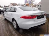 Jaguar XF bei Sportwagen.expert - Abbildung (2 / 15)