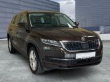 Skoda Kodiaq bei Sportwagen.expert - Abbildung (2 / 15)