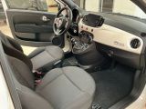 Fiat 500 bei Sportwagen.expert - Abbildung (9 / 12) Fiat 500 bei Sportwagen.expert - Abbildung (9 / 12)