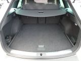 Seat Leon bei Sportwagen.expert - Abbildung (7 / 15)