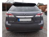 Lexus RX bei Sportwagen.expert - Abbildung (7 / 15)