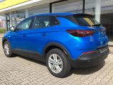 Opel Grandland X bei Sportwagen.expert - Abbildung (2 / 14)