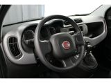 Fiat Panda bei Sportwagen.expert - Abbildung (7 / 10)