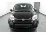 Fiat Panda bei Sportwagen.expert - Abbildung (5 / 10)