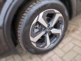 Nissan Qashqai bei Sportwagen.expert - Abbildung (9 / 15)