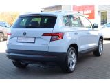 Skoda Karoq bei Sportwagen.expert - Abbildung (5 / 15)