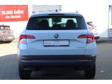 Skoda Karoq bei Sportwagen.expert - Abbildung (6 / 15)