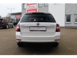 Skoda Octavia bei Sportwagen.expert - Abbildung (5 / 15)