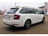 Skoda Octavia bei Sportwagen.expert - Abbildung (6 / 15)