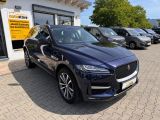 Jaguar F-Pace bei Sportwagen.expert - Abbildung (2 / 15)