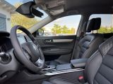 Renault Koleos bei Sportwagen.expert - Abbildung (5 / 15)