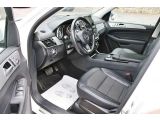 Mercedes-Benz GLE 250 bei Sportwagen.expert - Abbildung (10 / 15)