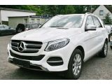 Mercedes-Benz GLE 250 bei Sportwagen.expert - Abbildung (9 / 15)