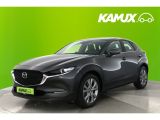 Mazda CX-30 bei Sportwagen.expert - Abbildung (8 / 15)