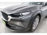 Mazda CX-30 bei Sportwagen.expert - Abbildung (11 / 15)