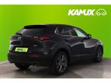 Mazda CX-30 bei Sportwagen.expert - Abbildung (5 / 15)