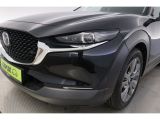 Mazda CX-30 bei Sportwagen.expert - Abbildung (12 / 15)