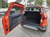 Ford EcoSport bei Sportwagen.expert - Abbildung (8 / 15)