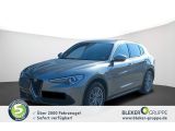 Alfa Romeo Stelvio bei Sportwagen.expert - Abbildung (3 / 14)