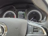 Skoda Octavia bei Sportwagen.expert - Abbildung (15 / 15)