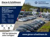 VW Polo bei Sportwagen.expert - Abbildung (8 / 8)