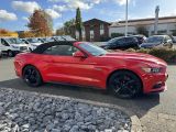 Ford Mustang bei Sportwagen.expert - Abbildung (3 / 15)