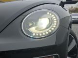 VW Beetle bei Sportwagen.expert - Abbildung (5 / 15)