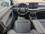 Skoda Superb bei Sportwagen.expert - Abbildung (14 / 15)