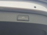 Skoda Kodiaq bei Sportwagen.expert - Abbildung (7 / 15)