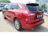 Ford Kuga bei Sportwagen.expert - Abbildung (3 / 15)