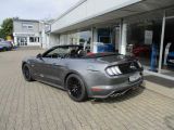 Ford Mustang bei Sportwagen.expert - Abbildung (3 / 15)