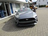 Ford Mustang bei Sportwagen.expert - Abbildung (8 / 15)