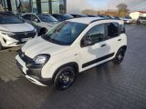 Fiat Panda bei Sportwagen.expert - Abbildung (4 / 15) Fiat Panda bei Sportwagen.expert - Abbildung (4 / 15)