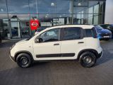 Fiat Panda bei Sportwagen.expert - Abbildung (8 / 15) Fiat Panda bei Sportwagen.expert - Abbildung (8 / 15)
