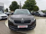 Skoda Kodiaq bei Sportwagen.expert - Abbildung (3 / 15)