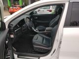 Kia Spirit bei Sportwagen.expert - Abbildung (11 / 15)