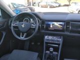 Skoda Kodiaq bei Sportwagen.expert - Abbildung (12 / 15)