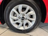 Kia Picanto bei Sportwagen.expert - Abbildung (15 / 15)