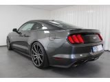 Ford Mustang bei Sportwagen.expert - Abbildung (6 / 15)