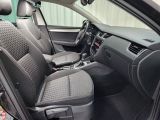Skoda Octavia bei Sportwagen.expert - Abbildung (8 / 15)