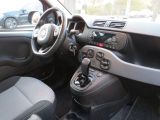 Fiat Panda bei Sportwagen.expert - Abbildung (11 / 11)