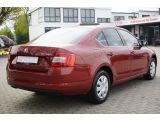 Skoda Octavia bei Sportwagen.expert - Abbildung (5 / 15)