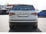 Skoda Kodiaq bei Sportwagen.expert - Abbildung (6 / 15)