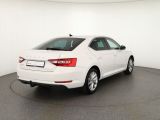 Skoda Superb bei Sportwagen.expert - Abbildung (5 / 15)