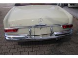 Mercedes-Benz 250 bei Sportwagen.expert - Abbildung (5 / 15)