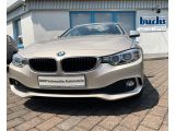 BMW 4er bei Sportwagen.expert - Abbildung (3 / 15)