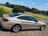BMW 4er bei Sportwagen.expert - Abbildung (5 / 15)