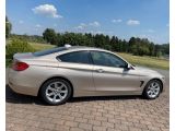 BMW 4er bei Sportwagen.expert - Abbildung (2 / 15)