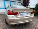 BMW 4er bei Sportwagen.expert - Abbildung (14 / 15)